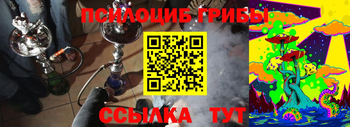 что такое   Вход с VPN  Новозыбков  Псилоцибиновые грибы мухоморы 