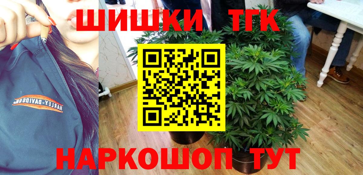 МАРИХУАНА семена Новозыбков